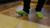 Green Socks
