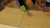 Green Socks II
