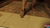 Her Brown Sandals