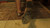 Her Brown Sandals