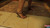 Her Brown Sandals