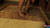 Her Brown Sandals