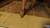Her Brown Sandals