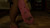 Pink Flip Flops