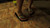 Cricket In-Shoe Crush