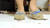 Moccasin Crushing Again