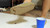 Moccasin Crushing Again