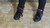 Sticky Sneakers