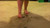 Under Jaimie's Heel