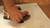 Maddie Inshoe