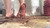 Enraptured Eradication Part 2