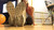 Smell My Stinky Gym Socks