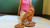 Shoeplay