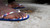 Fatal Flops