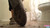 Worn Chucks V