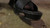 Nylon Heels