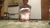 Irina's Socks