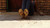 Riya's Heels