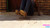 Riya's Heels