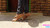 Riya's Heels