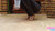 Riya's Heels