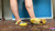 Daisy Domination