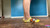 Daisy Domination