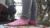 Smearing Socks