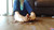 Sally's Playthings