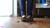 Insects Insecticided