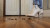 Walkover Whallop