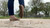 Flats Flatten Roaches