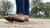 Flats Flatten Roaches