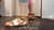 Stylish Sandals IV - View #1