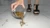 Nancy - No. 1 - Mealworms