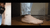 Cricket Stomping Soles