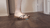 Sandal Small Squish