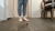 "OMG BUGS" 2