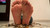 Alina's Roaches