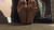 Irina's Feet XI [Old]