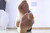 Qian Qian - Ant - No. 8