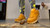 Orange Sneakers
