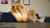 A Pretty Weeaboo Girl's Soles