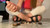 Fisticuffs 3
