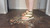 Sally's Girl Shoes 2
