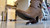 Boots Slow Crunch