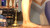 Barefoot Hissers - Dual View