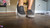 Vindictive VANS IV
