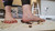 Jenni's Squish [Ground View]