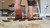 Jenni's Squish [Ground View]